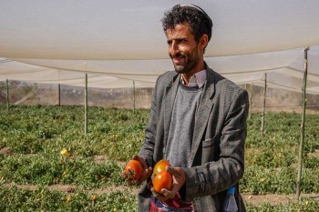 Farmers return to agriculture after they stopped due to the conflict in Yemen #Al-Makhadar