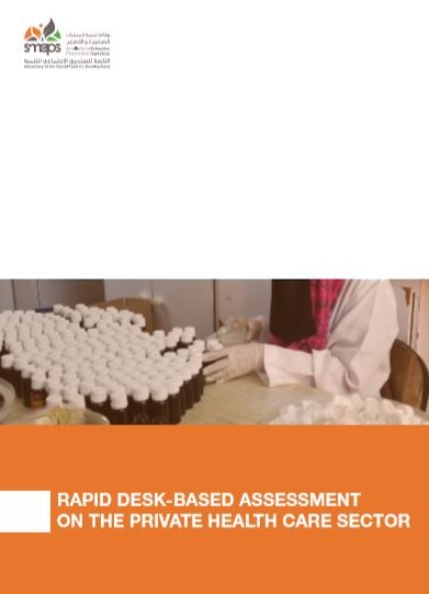 Rapid Disk Assessment - Health Sector