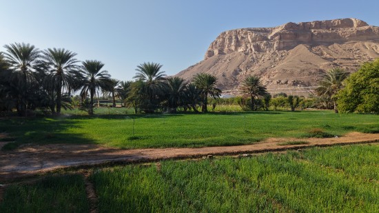 دور الوكالة في ربط الضخّ الشمسي بالتقنيات الزراعية الحديثة