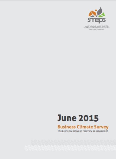 Business Climate Survey - The Economy between recovery or collapsing? June 2015
