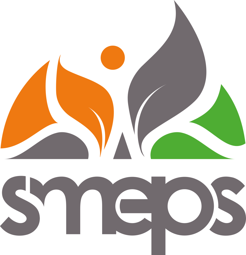 Sustainable Value Chains