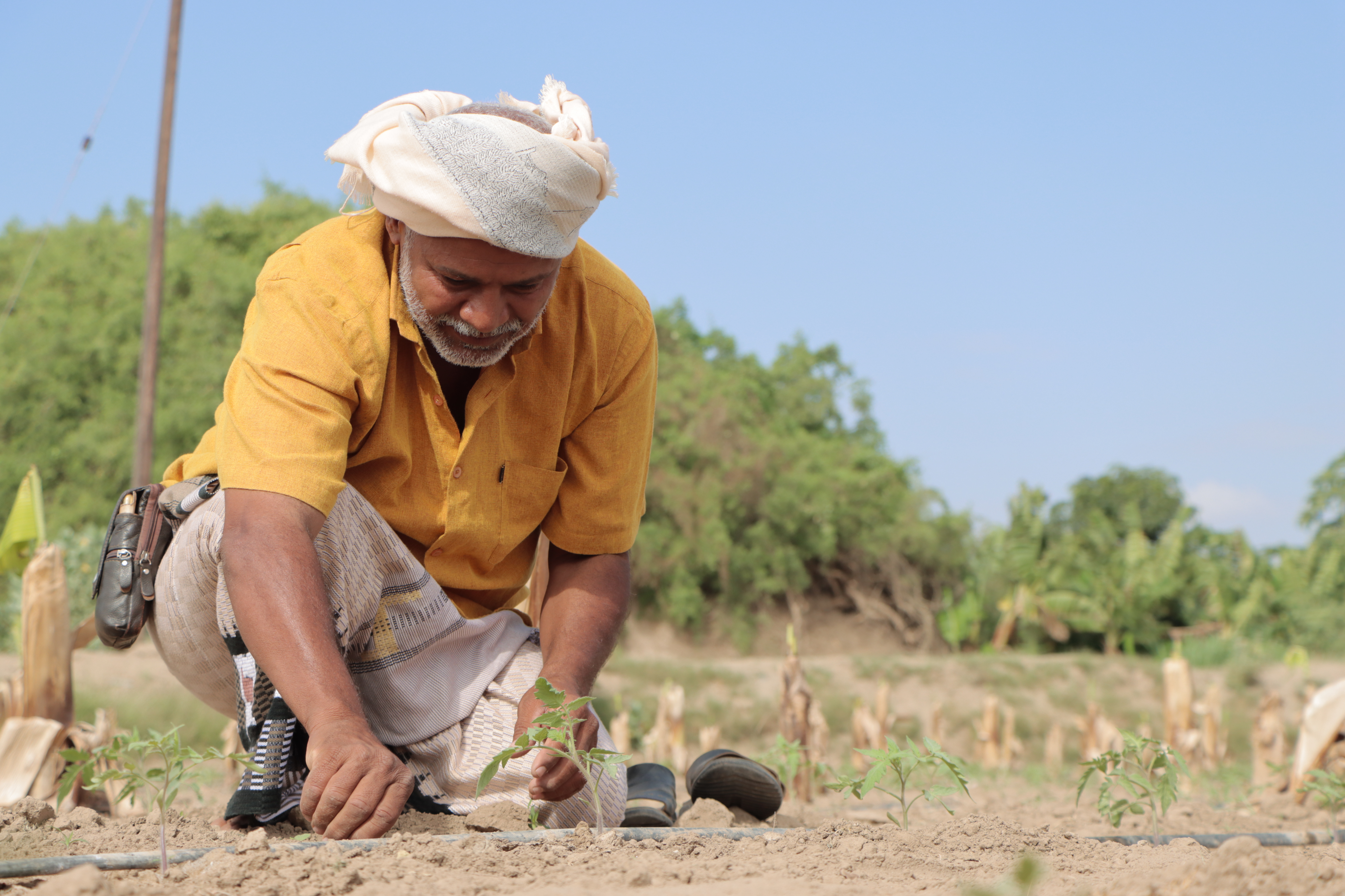 Emergency Resilience Grants Project (ERG) under YECRP Programme - Phase 1, 2 & 3